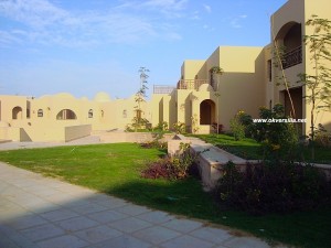The VIEW garden